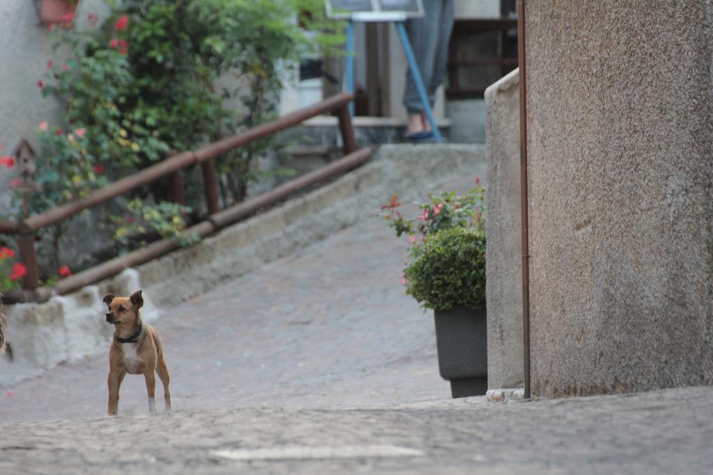Locanda Genzianella ガルニャーノ エクステリア 写真
